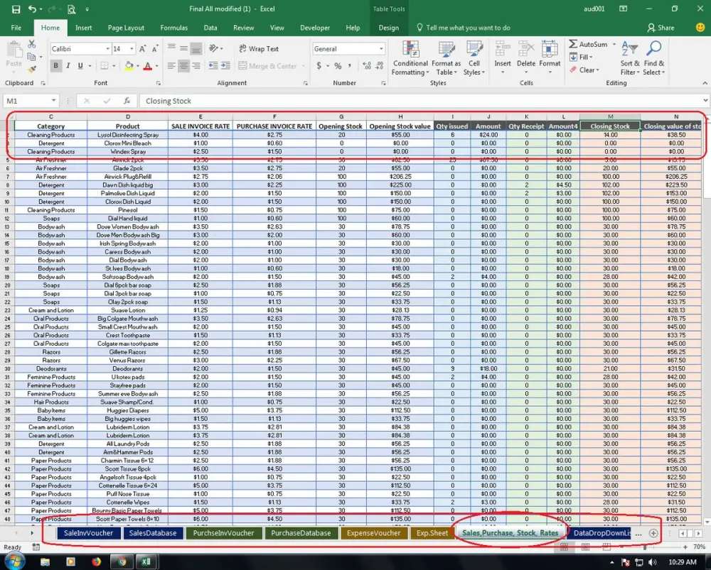 تنسيق وتجهيز البيانات باحترافية (Data Formatting & Preparation)