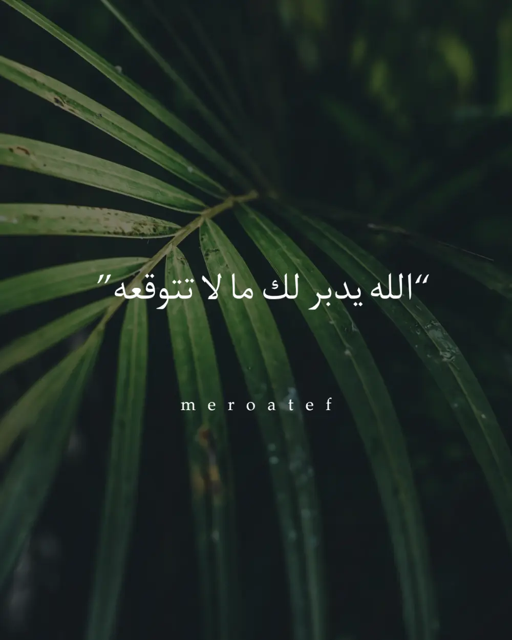 تصميم بوستات سوشيال ميديا