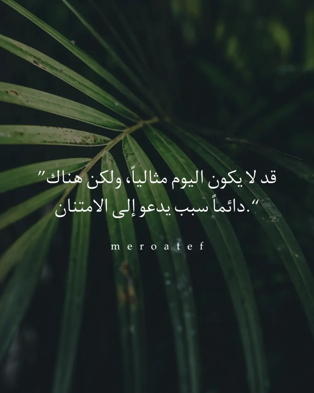 تصميم بوستات سوشيال ميديا