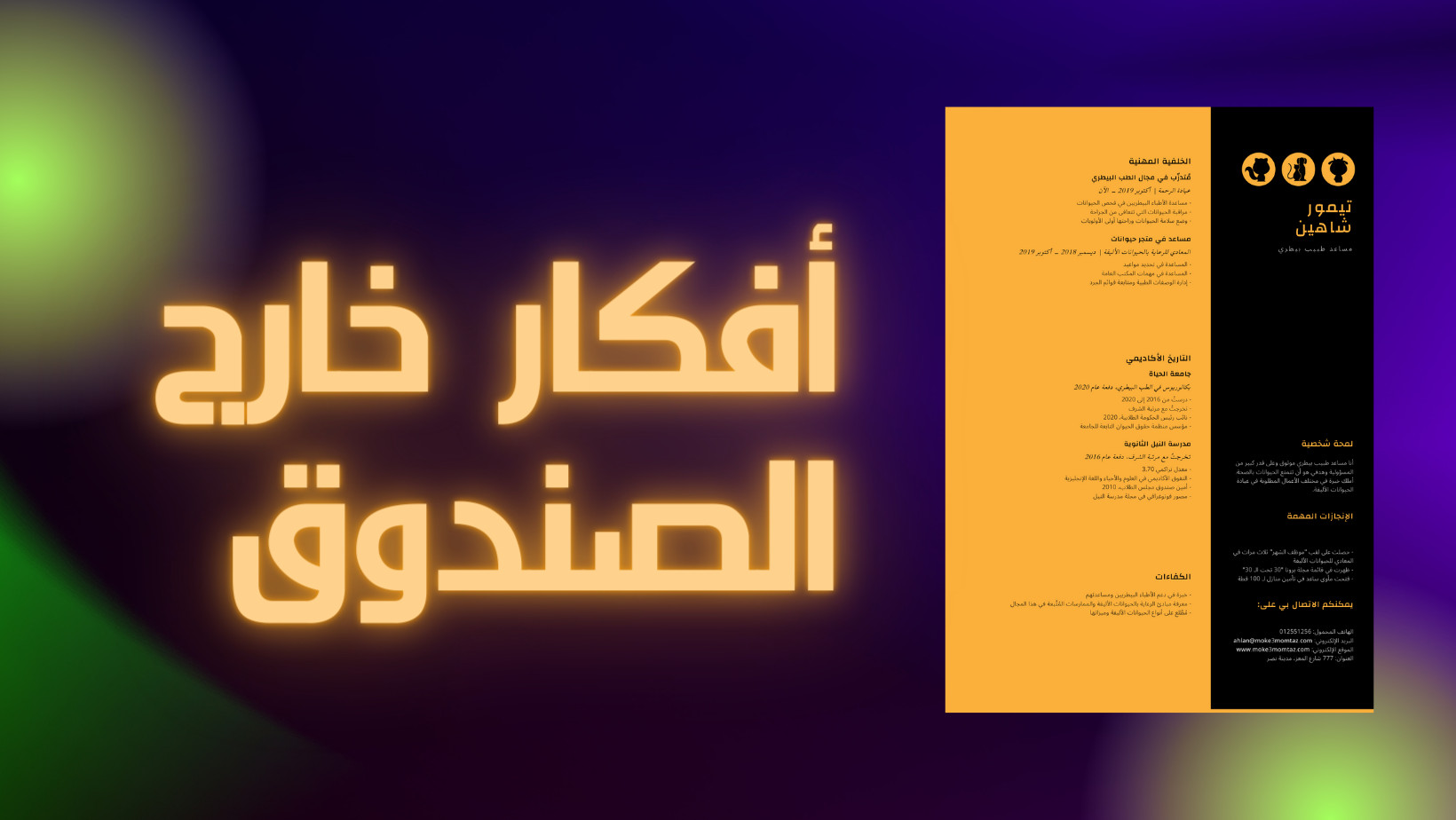 تصميم سيرة ذاتية CV احترافية وعصرية بالإضافه الى السرعة