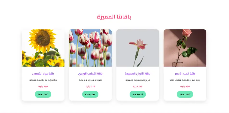 خدمة برمجة وتطوير واجهات أمامية احترافية (Front-End Development)
