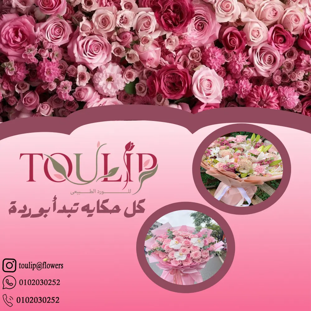 تصميم بوستات سوشيال ميديا -تصميم لوجو-تصميم مطبوعات احترافية حسب الطلب (بانر,منيو,رول اب,بوستر,كارت)