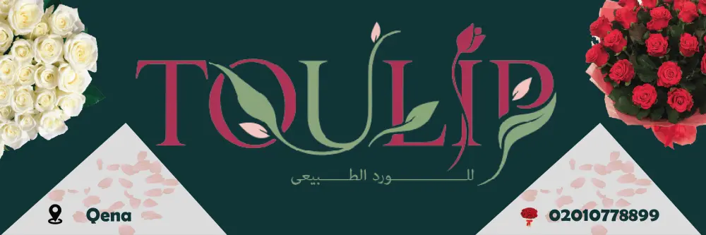 تصميم مطبوعات