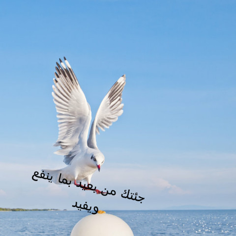 تدريب فوتوشوب