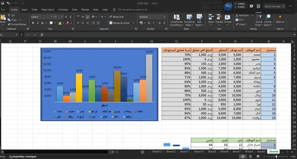 خبير إكسل وتحليل بيانات: تحويل البيانات الخام إلى لوحات تحكم (Dashboards) تفاعلية لاتخاذ القرار.