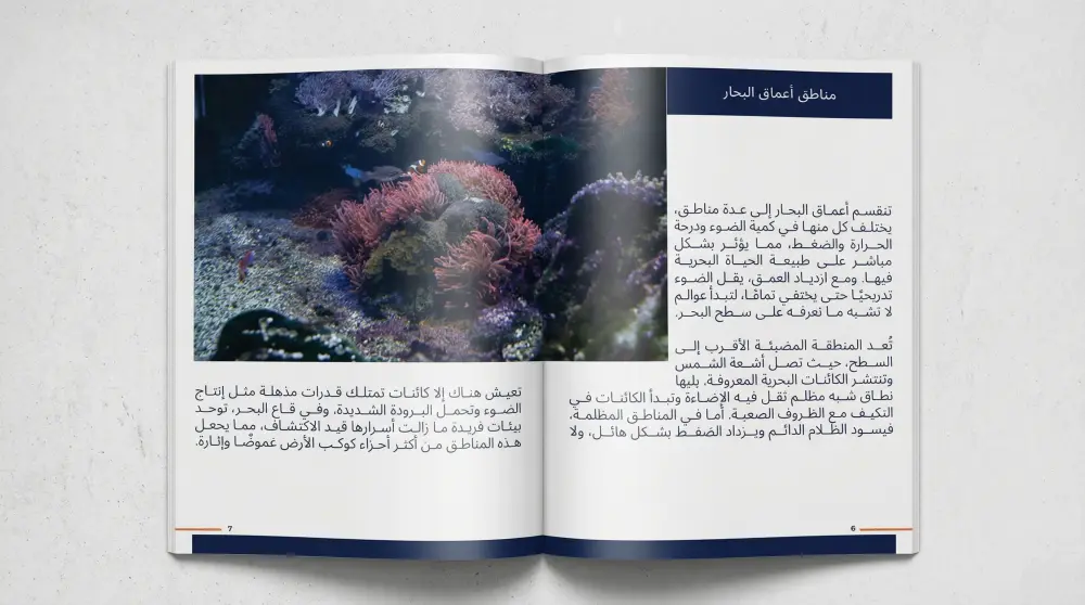تصميم وتنسيق الكتب والمجلات باحترافية