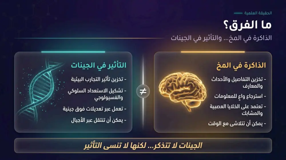سأقوم بتصميم 10 شرائح عرض تقديمي (PowerPoint / Canva / Pdf) احترافية مقابل 5 دولار