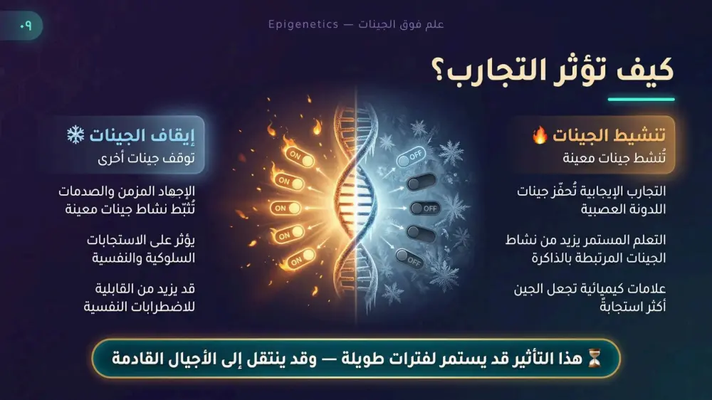 سأقوم بتصميم 10 شرائح عرض تقديمي (PowerPoint / Canva / Pdf) احترافية مقابل 5 دولار