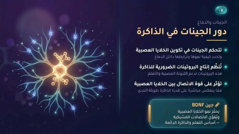 سأقوم بتصميم 10 شرائح عرض تقديمي (PowerPoint / Canva / Pdf) احترافية مقابل 5 دولار