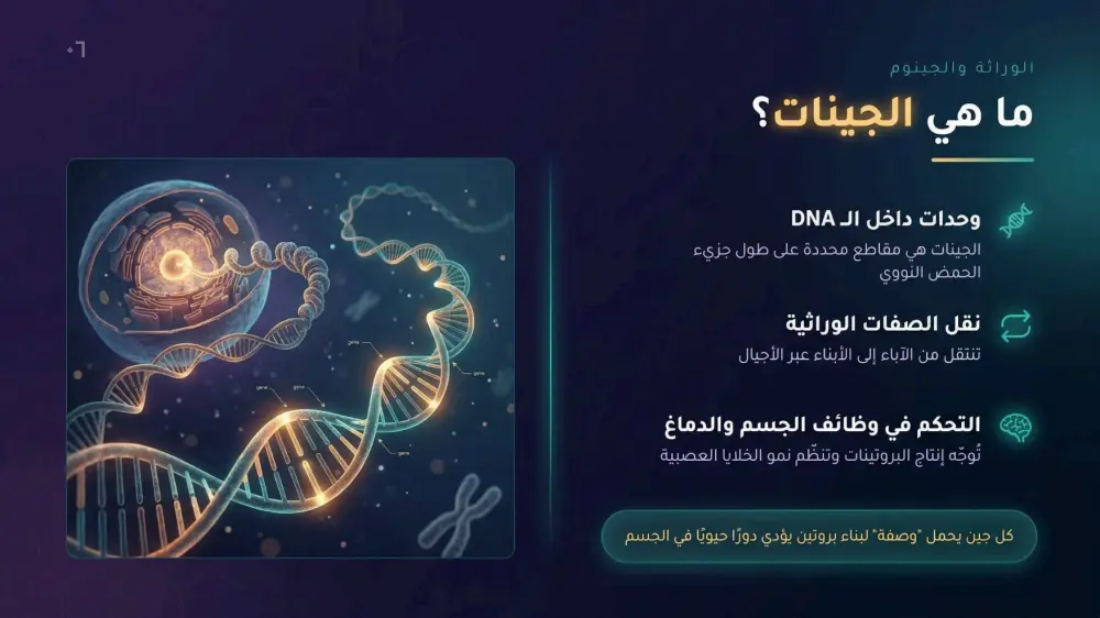 سأقوم بتصميم 10 شرائح عرض تقديمي (PowerPoint / Canva / Pdf) احترافية مقابل 5 دولار