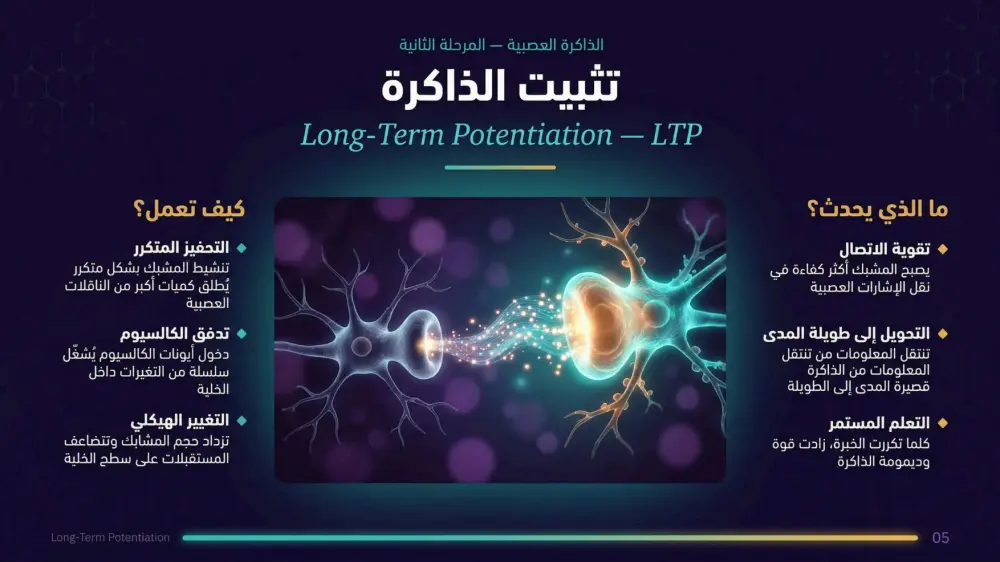 سأقوم بتصميم 10 شرائح عرض تقديمي (PowerPoint / Canva / Pdf) احترافية مقابل 5 دولار