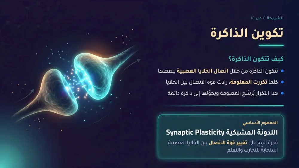 سأقوم بتصميم 10 شرائح عرض تقديمي (PowerPoint / Canva / Pdf) احترافية مقابل 5 دولار