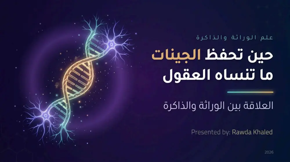 سأقوم بتصميم 10 شرائح عرض تقديمي (PowerPoint / Canva / Pdf) احترافية مقابل 5 دولار