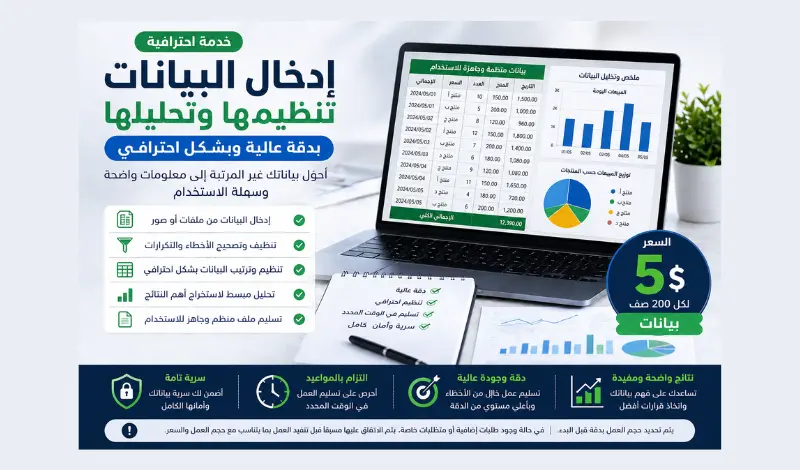 إدخال البيانات وتنظيمها وتحليلها بدقة عالية بشكل احترافي
