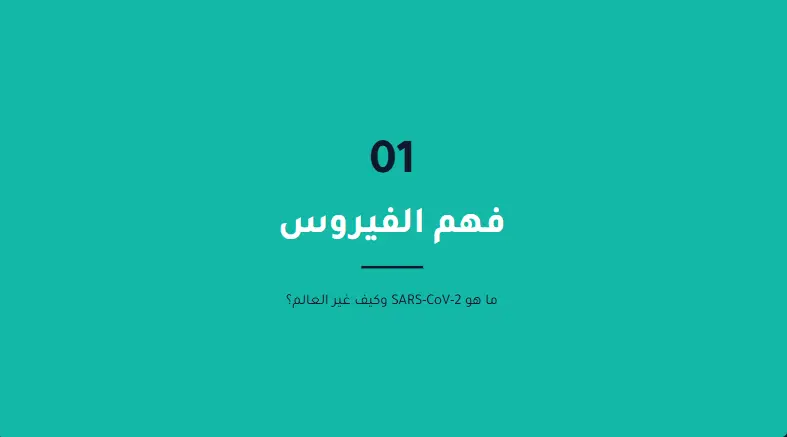 تصميم عروض PowerPoint أو Canva احترافية