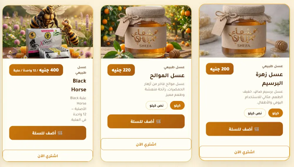 انشاء مواقع ويب