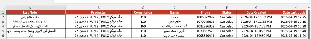 تنظيف وتنظيم بياناتك (Excel / CSV) حتى 1000 صف بشكل احترافي