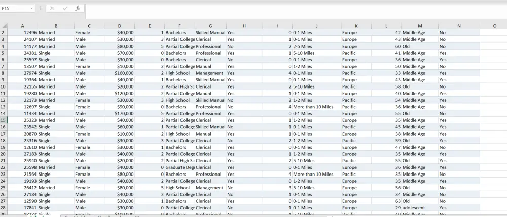تنظيف وتحليل البيانات واستخراج رؤى احترافية (Data Cleaning & Analysis)