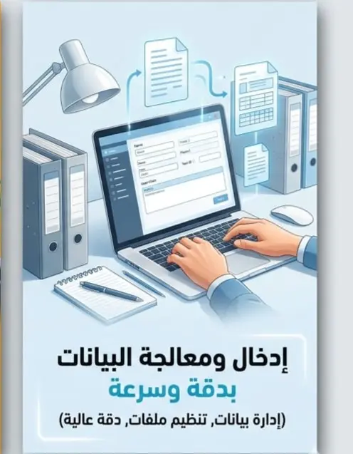 إدخال وتنسيق البيانات على Excel بدقة عالية وسرعة (حتى 1000 صف مقابل 5$)