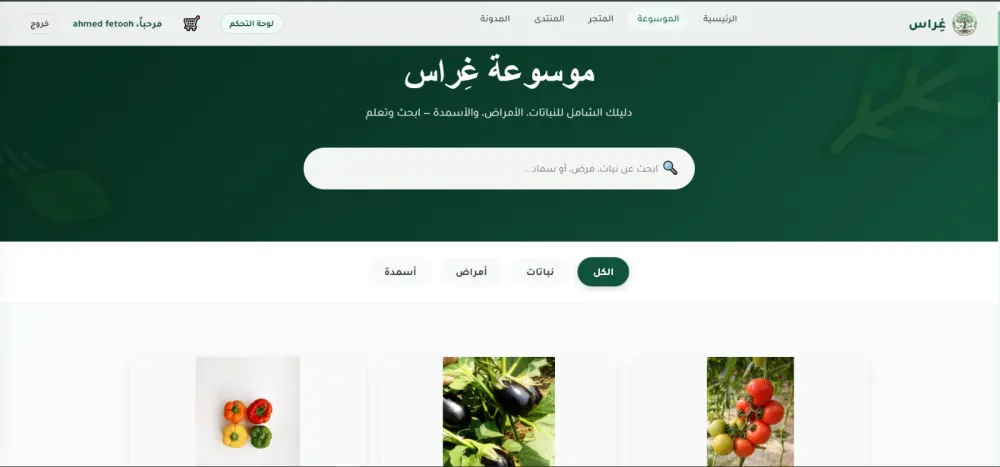 تطوير واجهات احترافية ومتجاوبة باستخدام Angular وربطها مع APIs