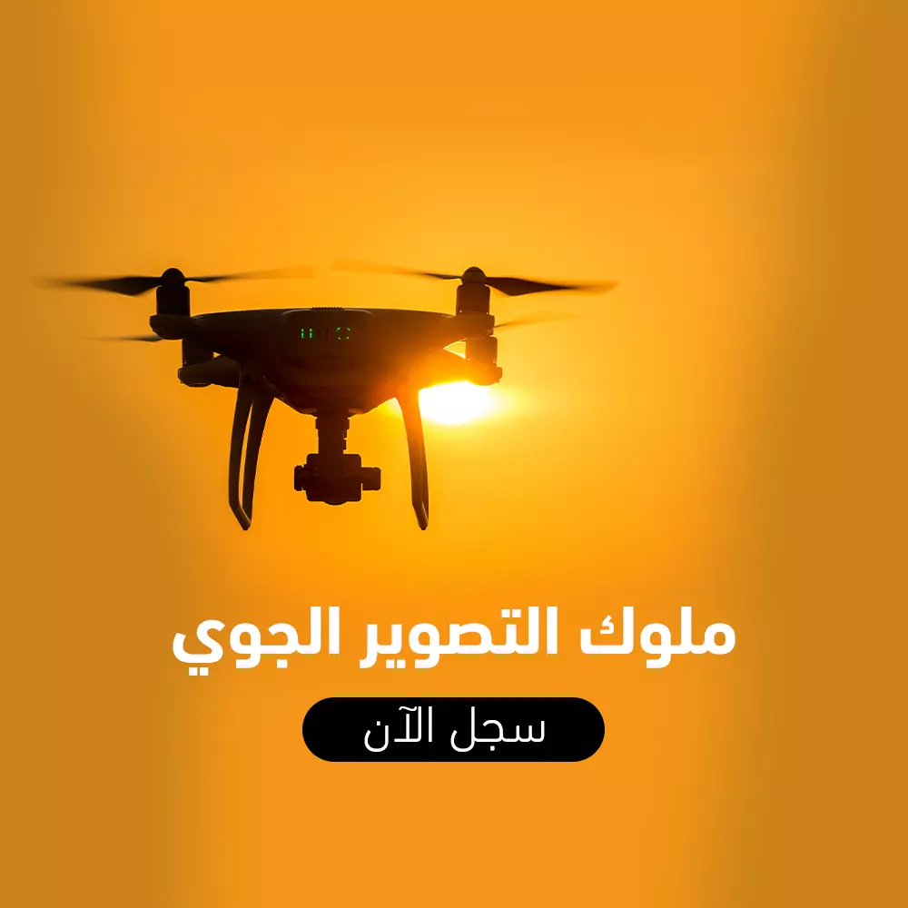 سوشيال ميديا