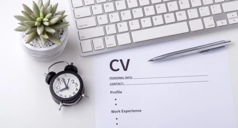 professional and visually appealing CV