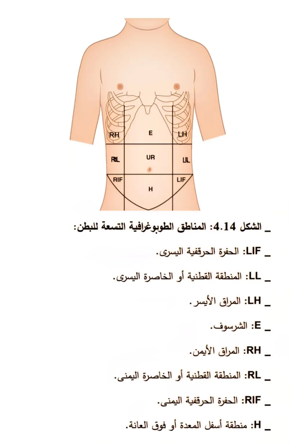 تفريغ وتنسيق النصوص ضمن برنامج Word باحترافية وسرعة عالية.