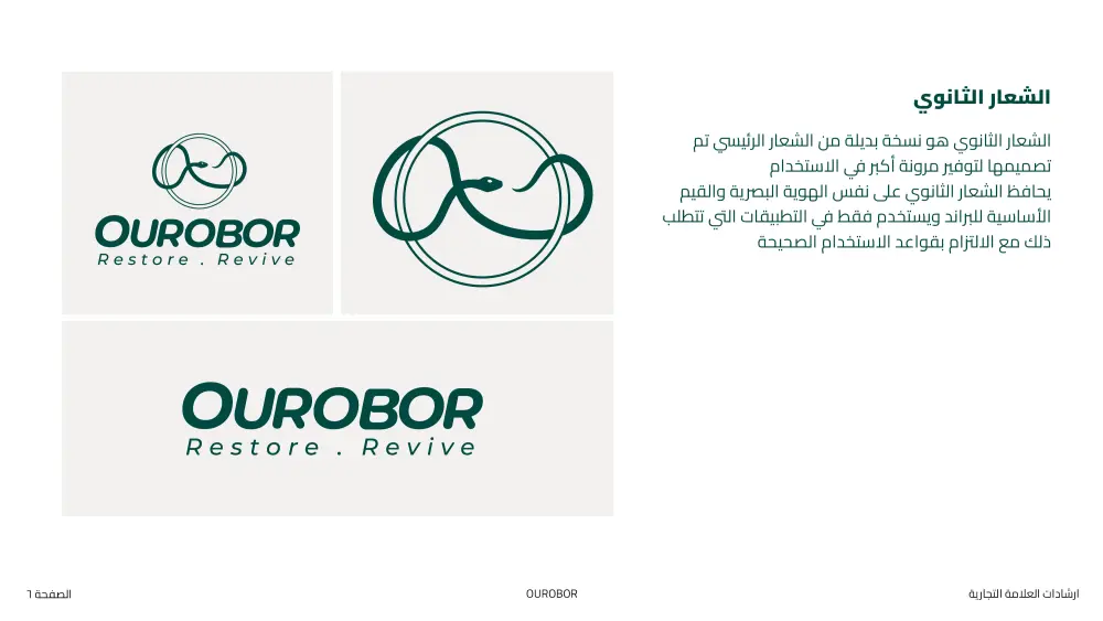 تصميم هوية بصرية وبراندنج احترافي لعلامتك التجارية