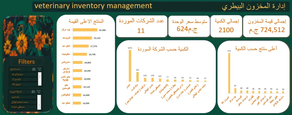 تحليل البيانات باستخدام Excel و بناء Dashboards