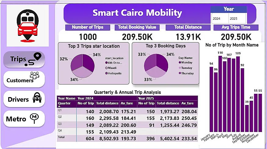 محلل بيانات(data analyst)