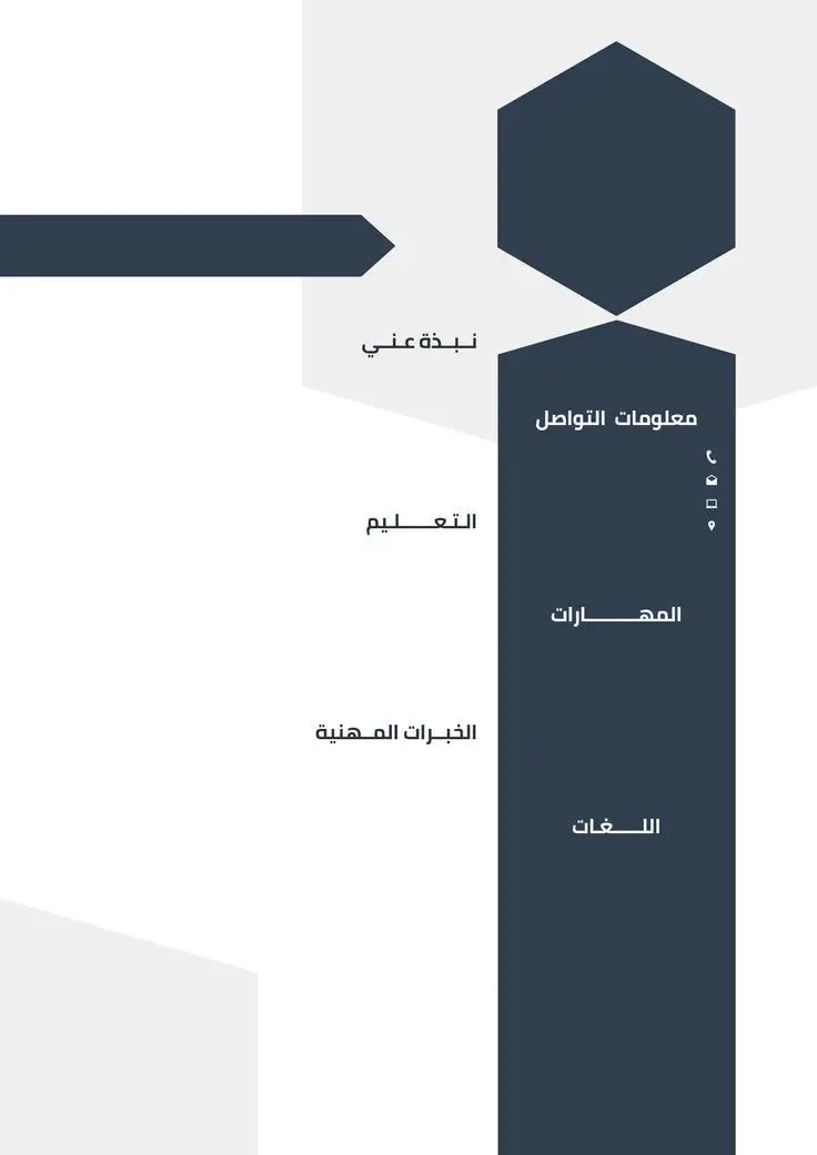 سيرة ذاتية احترافية
