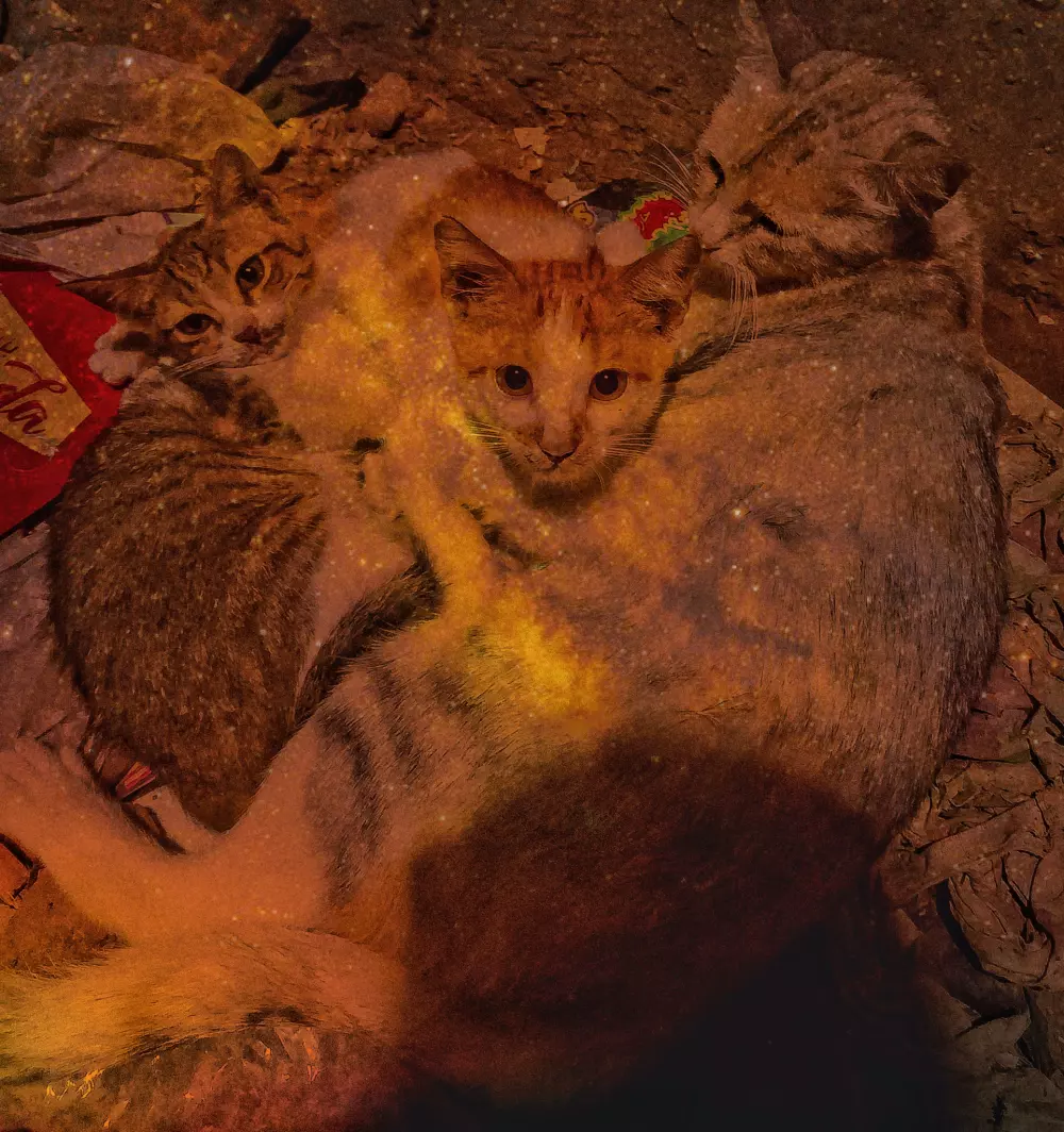 استطيع تعديل الصور