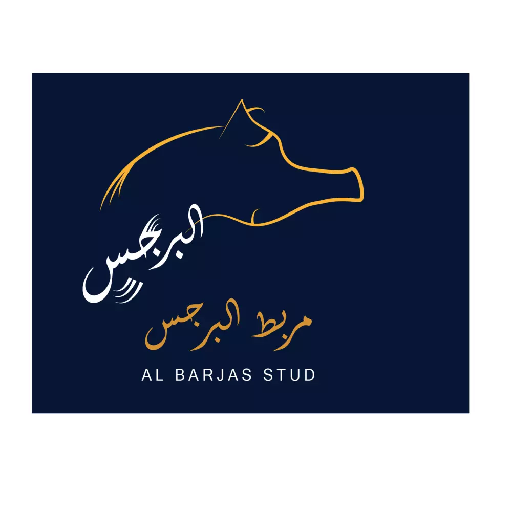 تصميم شعار  احترافي