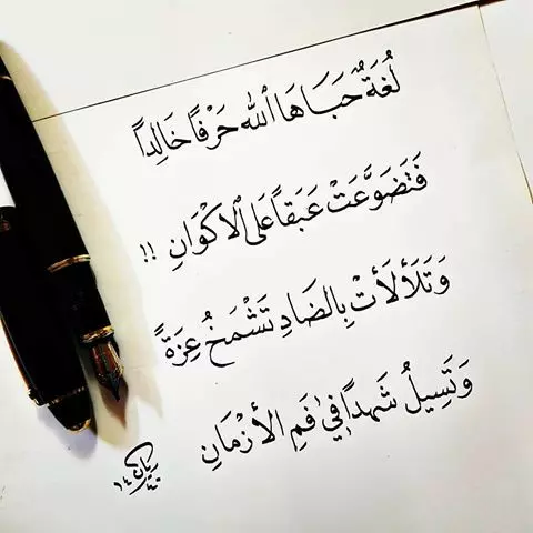 تدقيق الرسائل لغويا