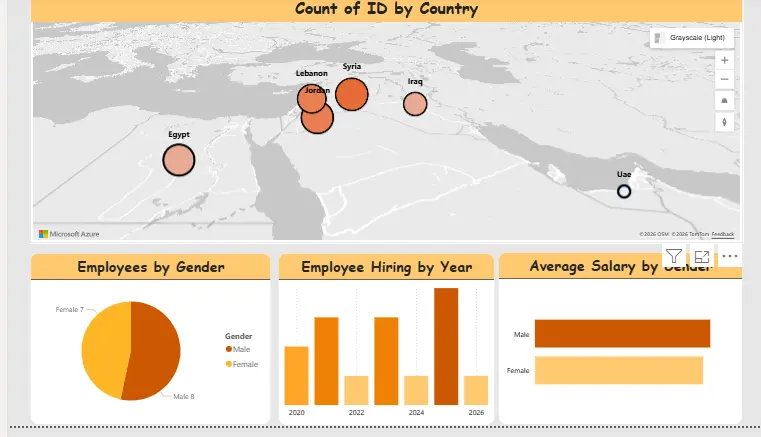 تنظيف وتجهيز البيانات، تحليلها واستخراج أهم المؤشرات والرؤى (Insights)، إنشاء KPIs