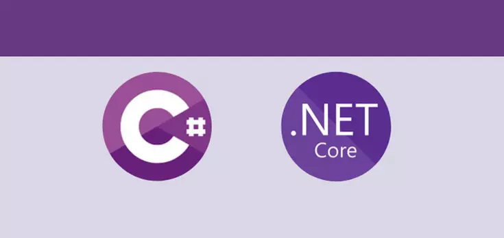 مراجعة واصلاح مشاكل وأخطاء لغة C# او .NET