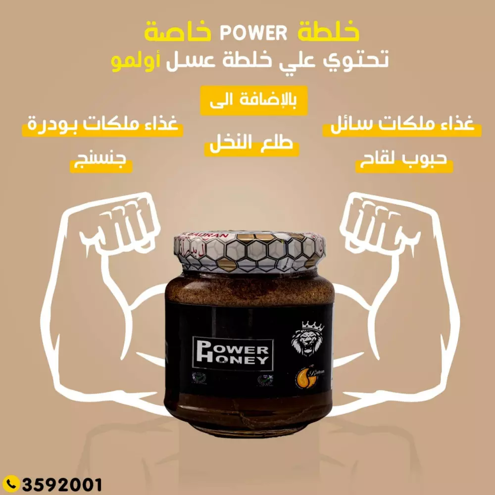 تصميم سوشيال ميديا