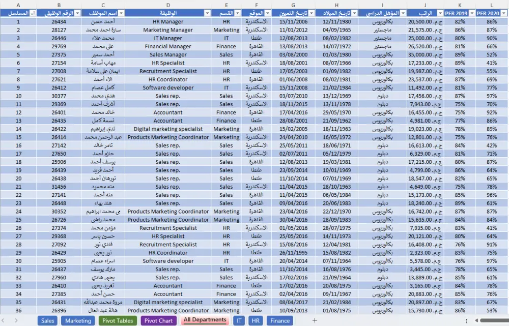 تحليل البيانات وتصميم لوحات تحكم Dashboards احترافية ب Excel