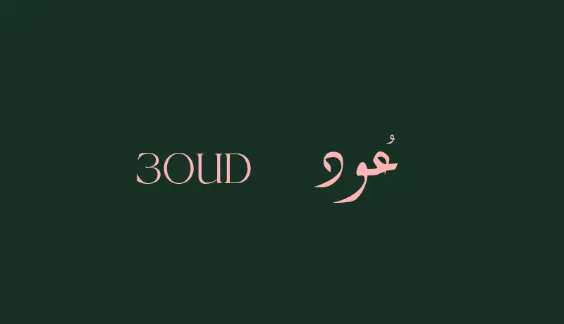 تصميم لوجو احترافي ومميز