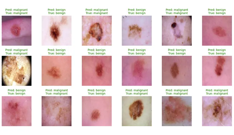 سأطور نموذج Deep Learning لاكتشاف الكائنات والتصنيف
