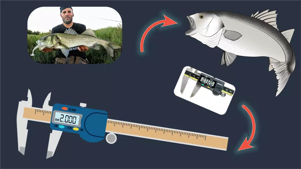 رسم اي صوره علي الالستريتور (illustrator) لصنع فيكتور