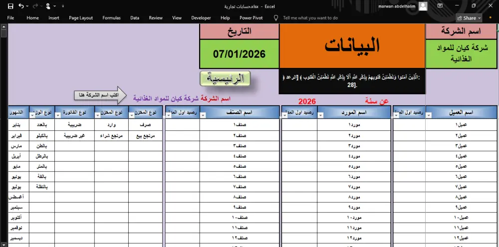 جميع حسابات شركتك أو وكالتك في ملف إكسل واحد