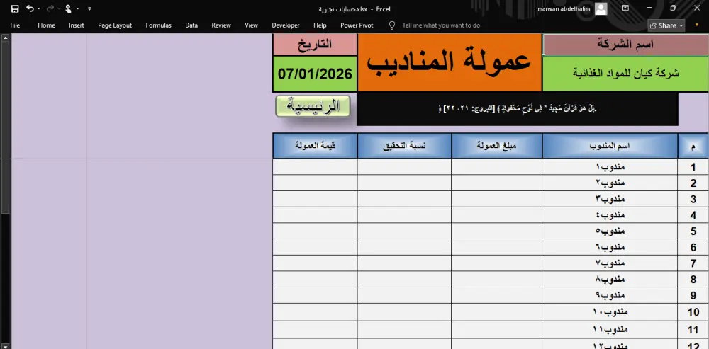 جميع حسابات شركتك أو وكالتك في ملف إكسل واحد