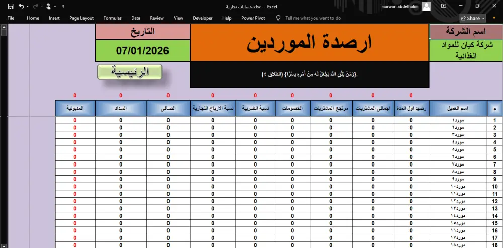 جميع حسابات شركتك أو وكالتك في ملف إكسل واحد
