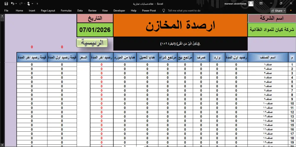 جميع حسابات شركتك أو وكالتك في ملف إكسل واحد