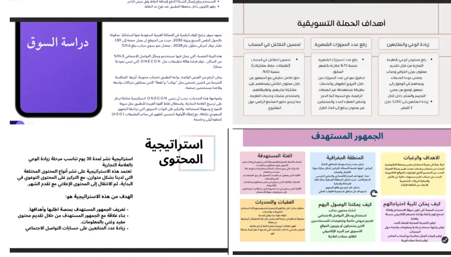 إعداد خطة واستراتيجية تسويقية شاملة لمشروعك مبنية على الأرقام والنتائج