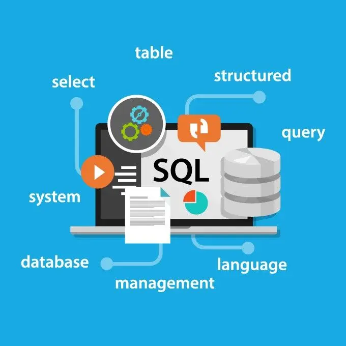 استخراج التقارير وكتابة استعلامات قاعدة البيانات (SQL Queries)