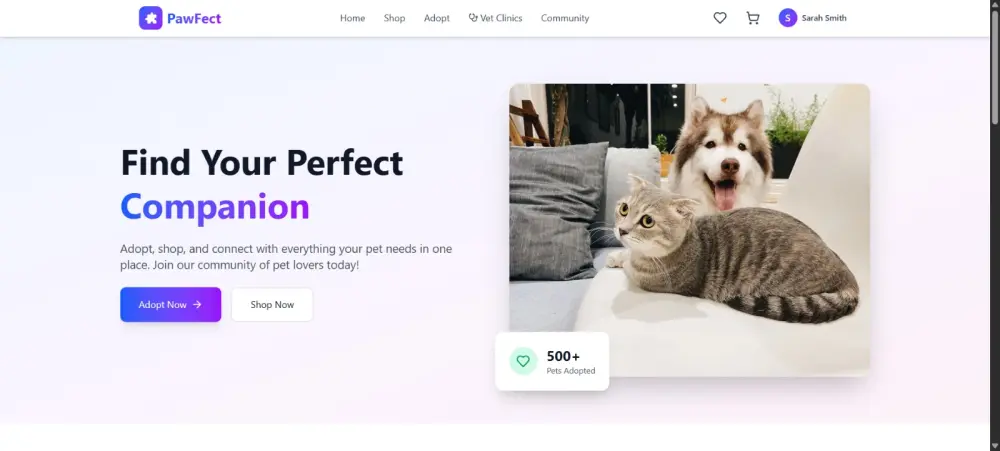 تقديم portfolio بشكل احترافي
