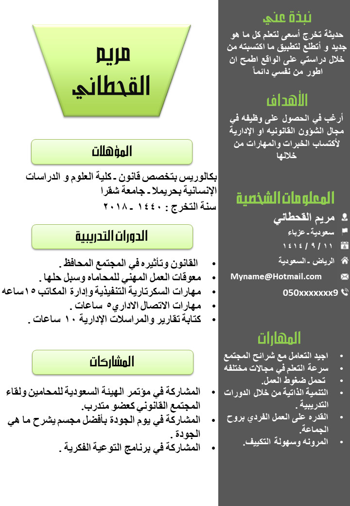 تصميم سيرة ذاتية احترافية بالعربي أو الإنجليزي CV