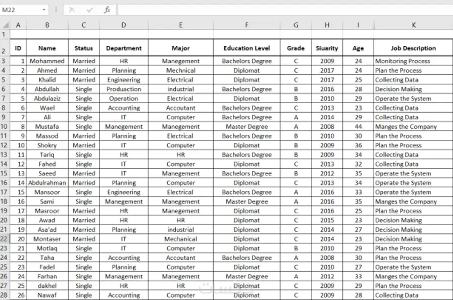 أقوم بإدخال البيانات وتنظيمها في Excel باحترافية ودقة (Data Entry)
